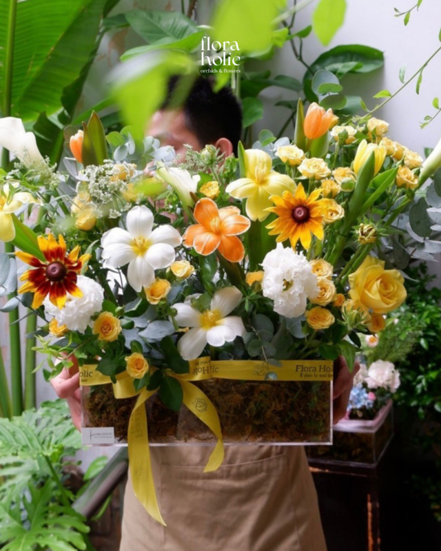 Tia Ấm · Bó hoa tulip