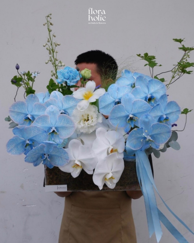 Vệt Nồng · Bó hoa lan và tulip