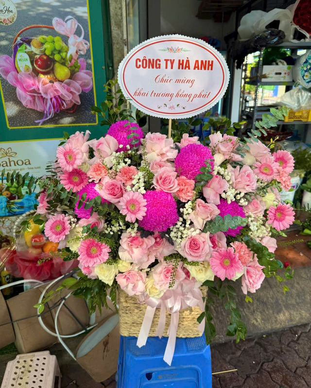 Giỏ hoa hồng đồng tiền hồng – Khởi Đầu May Mắn