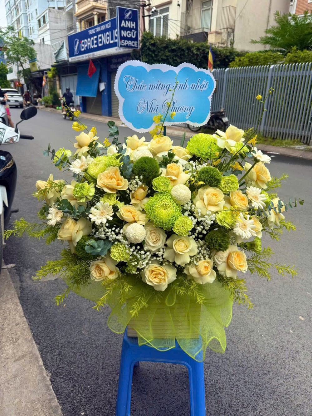 Giỏ hoa hồng vàng kem phối cúc tông vàng nhạt, trắng và xanh lá