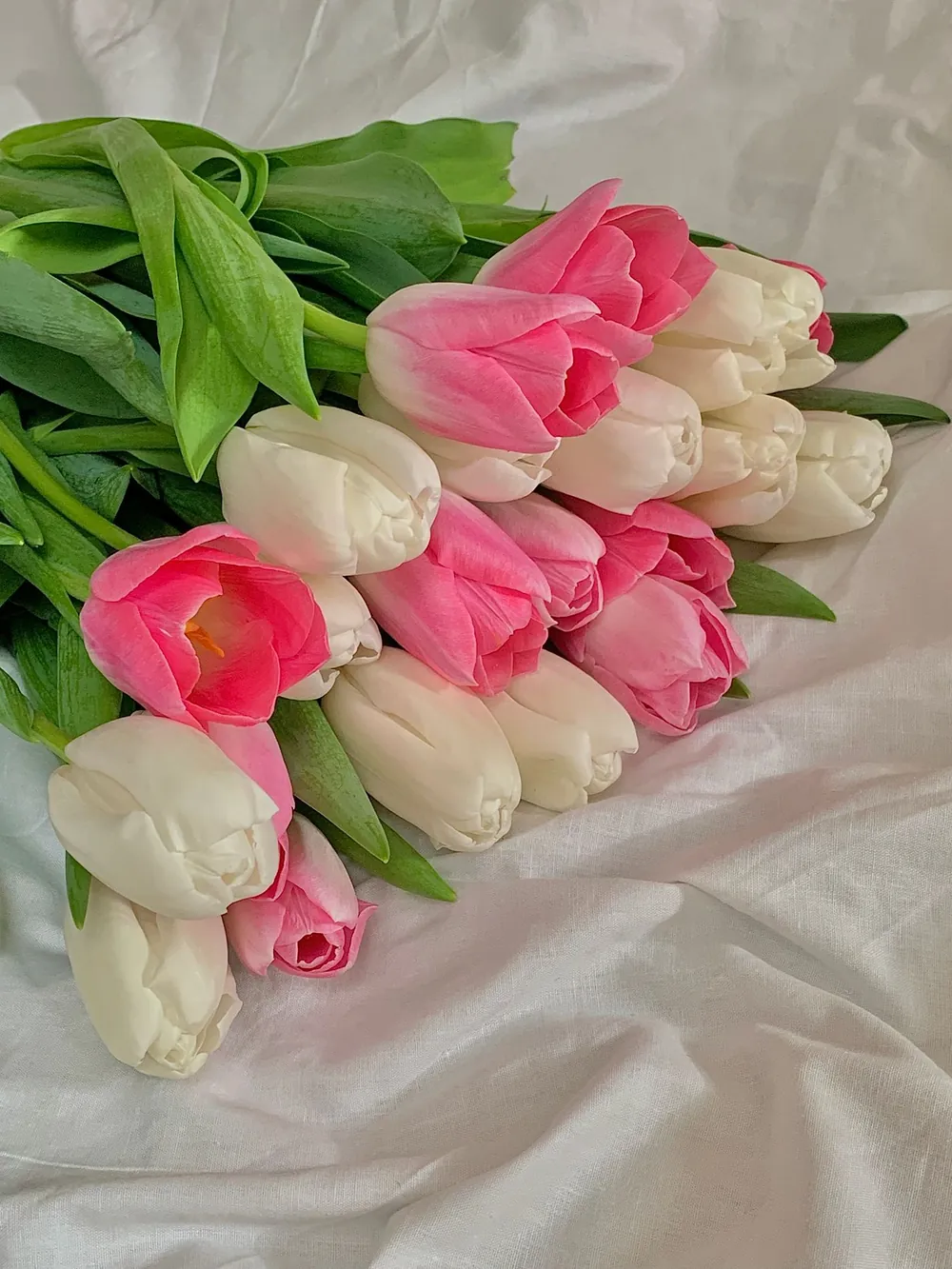 Bó tulip hồng và trắng trên nền vải linen sáng